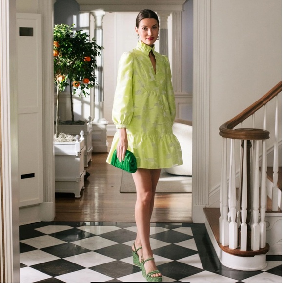 TUCKERNUCK

Citron Fil Coupe Palmerston Dress size medium - Picture 1 of 4